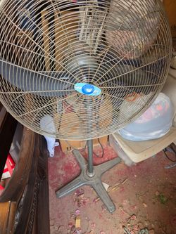 Electric fan