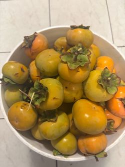 Persimmon