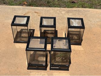 (5) zoo med glass terrariums 8x8x12