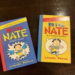 Big Nate Books