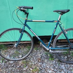 Mongoose Bike