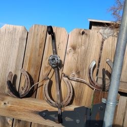 Horse Shoe Art