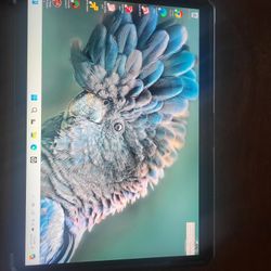Surface Pro 8