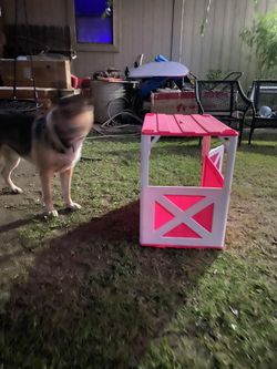 Casa para perros chicos nuevas