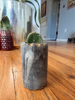 Prickly Pear Cutting
