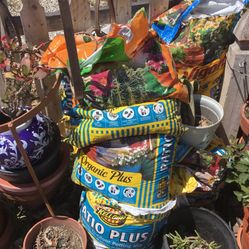 Organic Plus $10- Each 