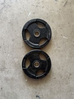 Twenty- Five Pound Weight Plates