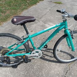 Raleigh Alysa 24 Hybrid Bike Bicycle with 24" Tires M Frame Ready To Ride - $60 FIRM 
