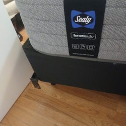 Sealy Queen Size Mattress