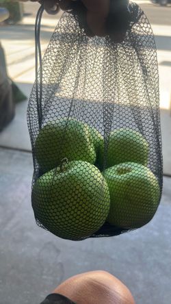 Decorative Green Apple Fruit