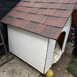 Dog House 