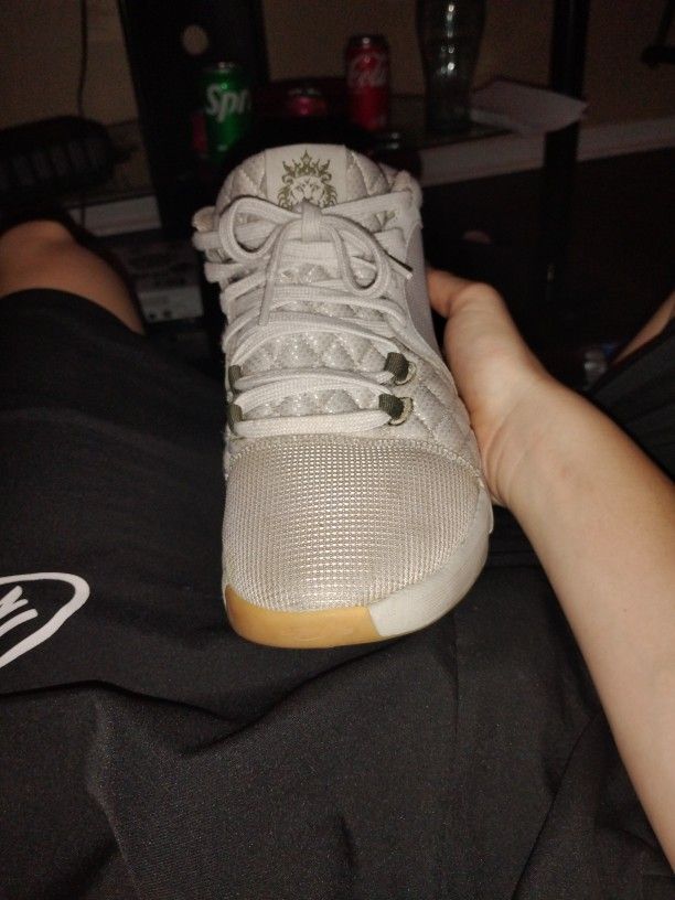Lebron 8