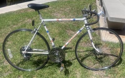 1976 Schwinn Bicentennial Varsity