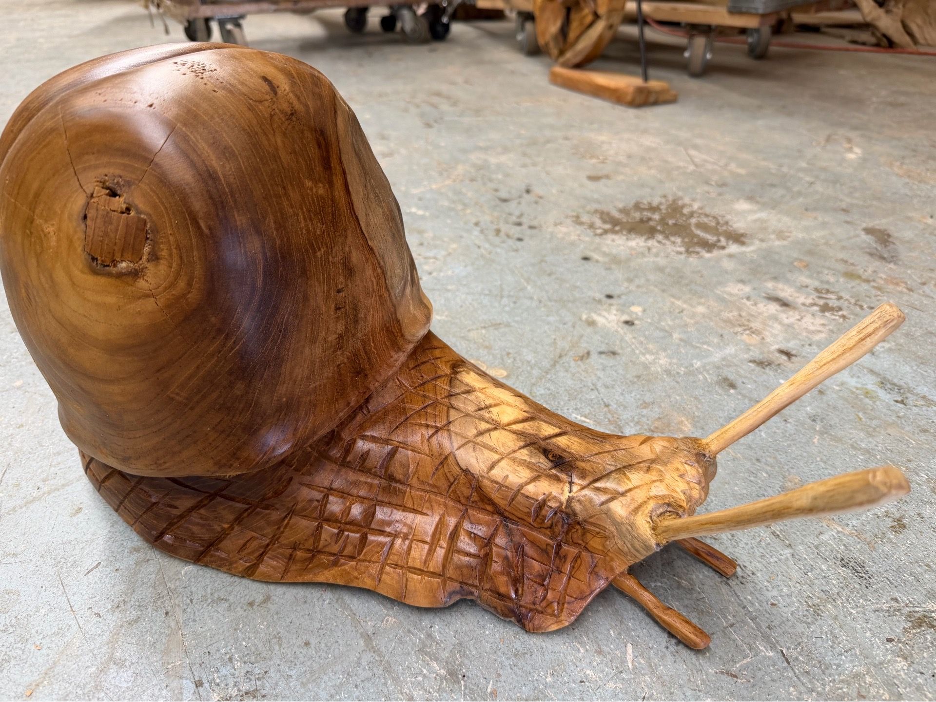 20”-8”-10”Carved Teakroot Solid Wooden Snail