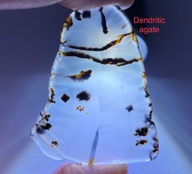 Dendritic Agate Polished Stone from USA 7.3g