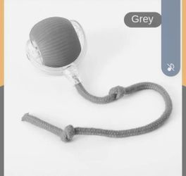 Cat toy