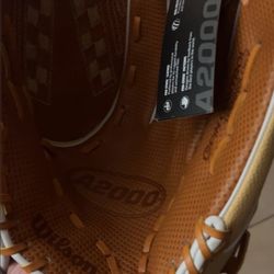 A2000  Glove 