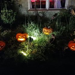 Halloween  Pumpkins
