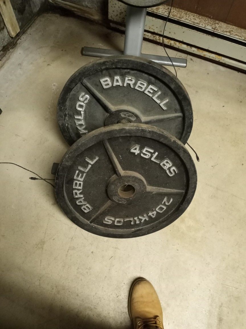 Pair Of 45 Pound Barbells