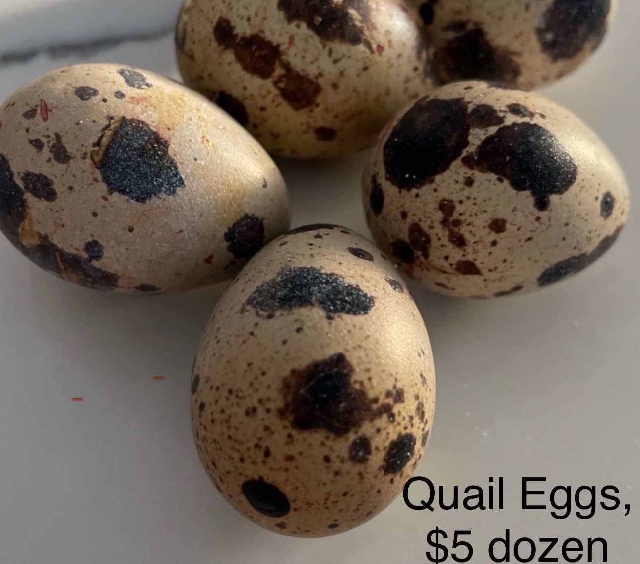 Quail Eggs