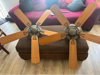 Ceiling fans