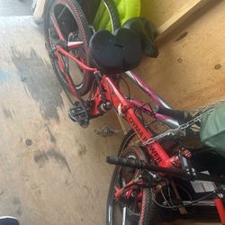 Men’s Bike And Women’s Bike 150 OBO 2 For The Price Of 1