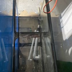 Fish Tank Sal Water 