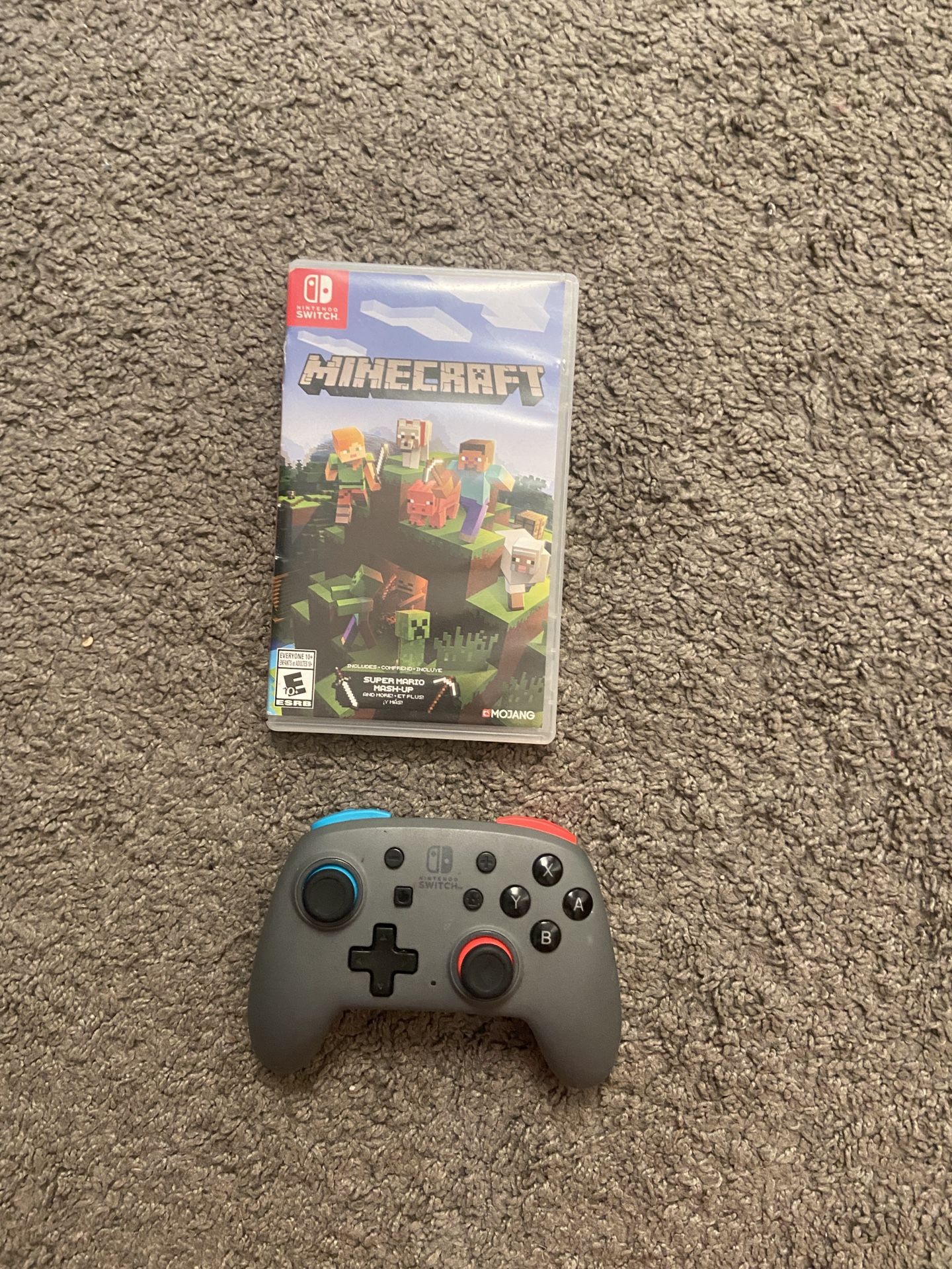 Pro Controller + Minecraft 