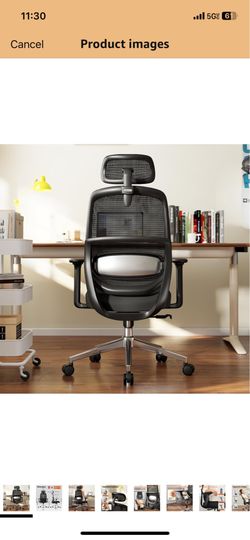 Ergonomic Office Chair, Home Office Desk Chairs, 3D Lumbar Support High Back Desk Chair, Comfortable Computer Chair & Gaming Chair for Office & Home -