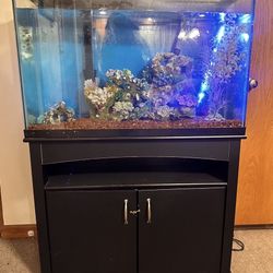 50 Gallon Fish Tank 