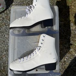 Ice Skates