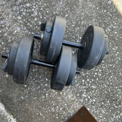 Dumbbells (adjustable)