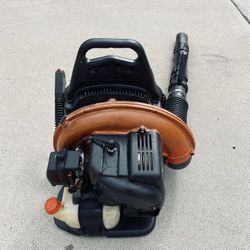 Echo Commercial Gas Blower 