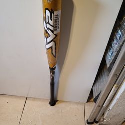 Baseball Bat 32