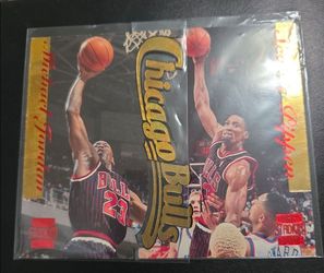 Jordan f1 pippen f9 tsc die cut set