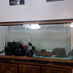 Aquarium With Complete Lizard Setup