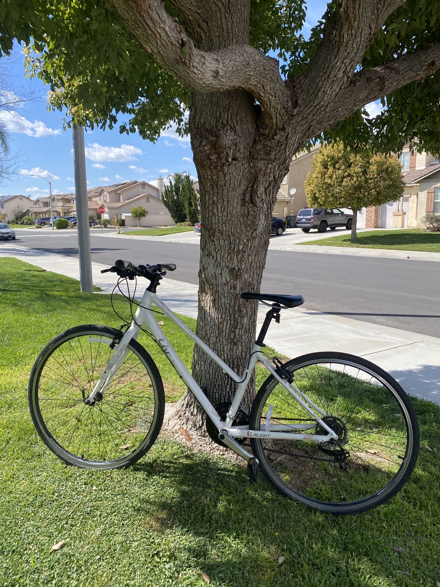 Giant Alight Liv Road Hybrid Bike