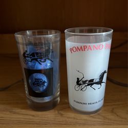 Two Harness Racing Glasses