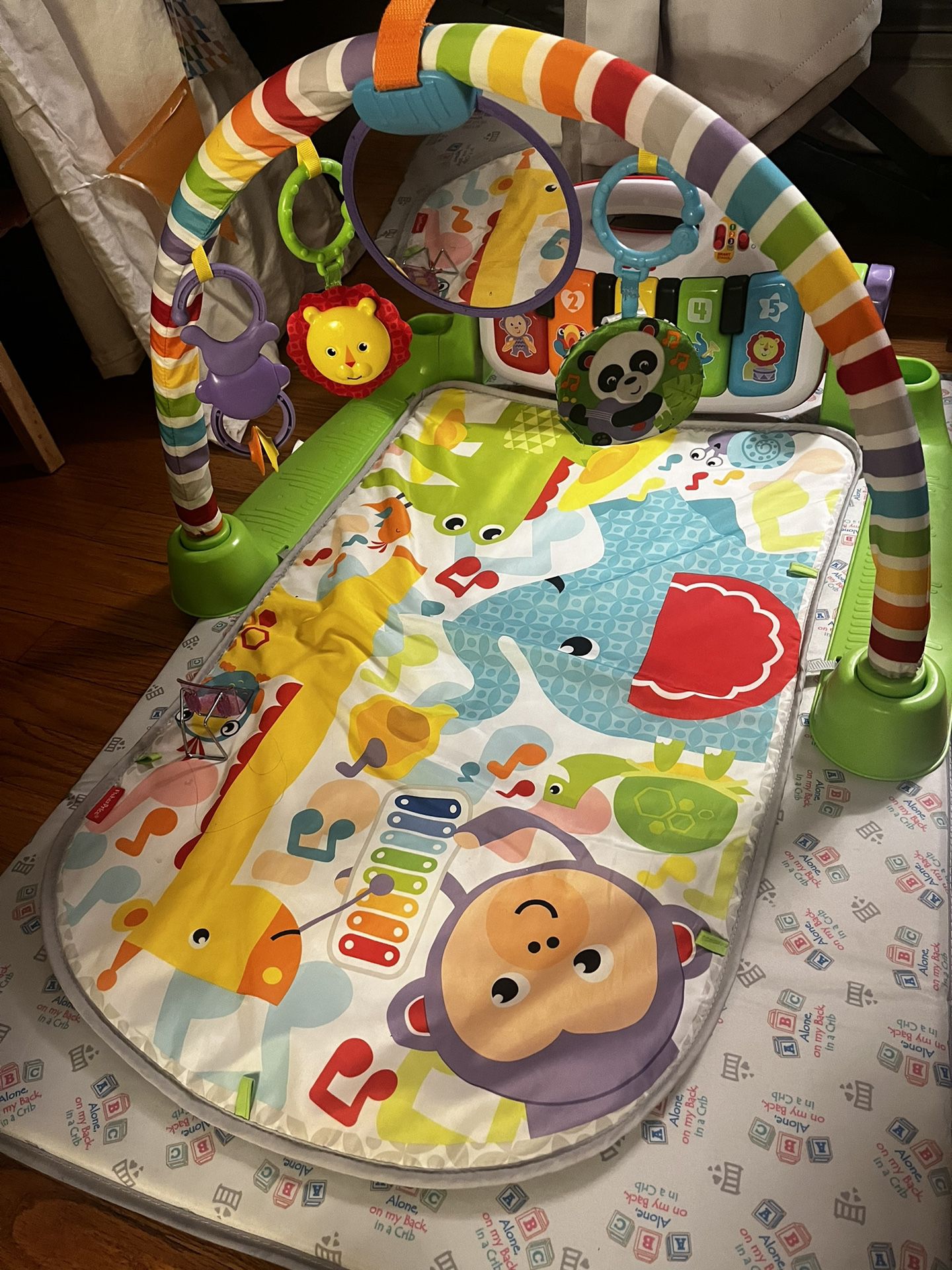 Fisher Price Deluxe Kick 'n Play 
