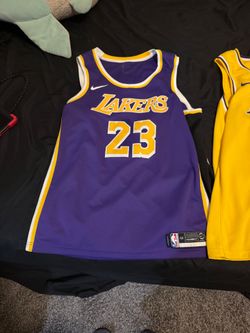 Mens Nike LeBron James #23 NBA Los Angeles Lakers Basketball Jersey Shirt Size 2xl