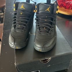 Air Jordan 12 Retro 