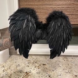 Halloween Costume Wings