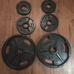 Olympic Grip Plates