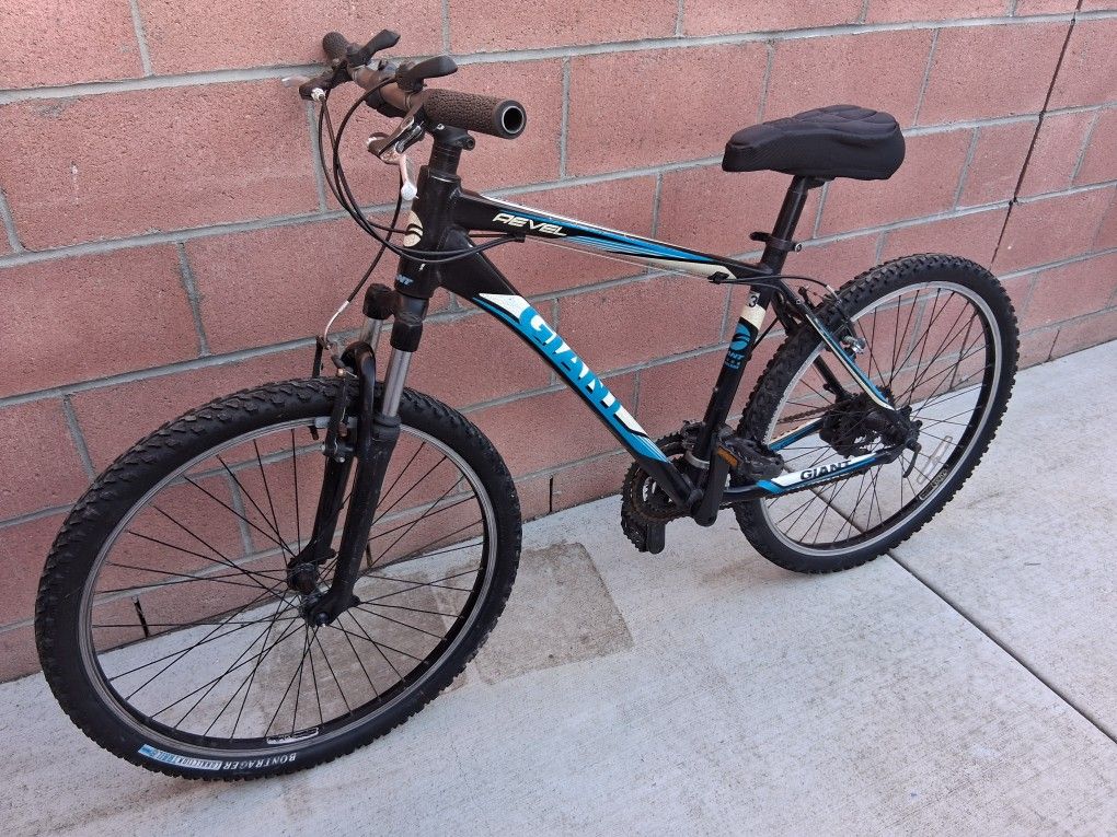 Giant Mountain Bike