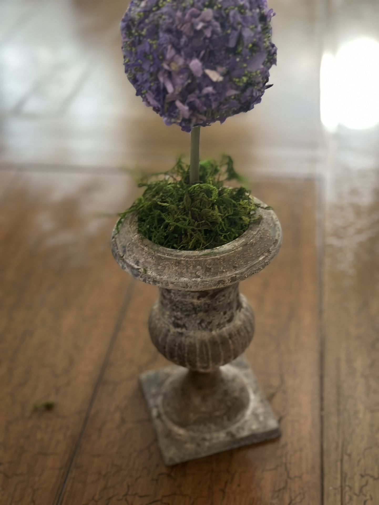 Hydrangea Topiary With Cast Iron Rustic Base