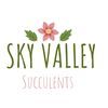 Sky valley Succulents