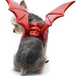 Dragon Wings For Small Dog