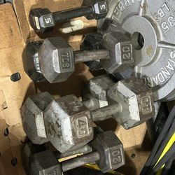HEX Dumbbells