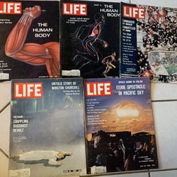 Life Magazines 83 Issues