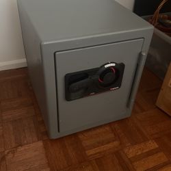 Sentry 3100 Combination Safe Fireproof